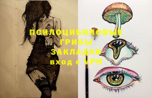 мескалин Елизово