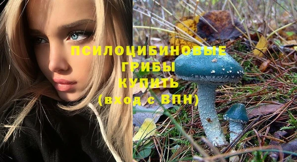 a pvp Заводоуковск